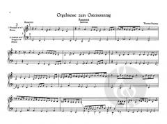 Cantantibus Organis Band 8 