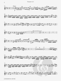 Concerto c-Moll von Georg Philipp Telemann für Trompete und Orgel (Klavier) im Alle Noten Shop kaufen