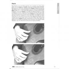 Die Flamencogitarre von Bernd Steinmann 