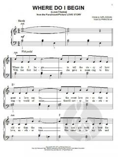 Where Do I Begin (Love Theme) von Andy Williams 