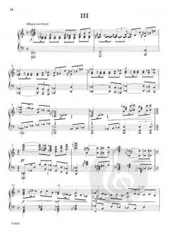 Klaviersonate von Hans Fleischer im Alle Noten Shop kaufen