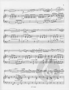 Schülerkonzert Nr. 3 g-Moll op. 12 von Friedrich Seitz 