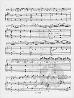 Schülerkonzert Nr. 3 g-Moll op. 12 von Friedrich Seitz 