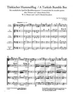 Türkischer Hummelflug / Turkish Bumble Bee (Jan van Landeghem) 