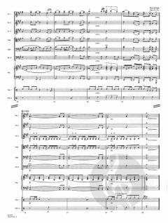 The Circle of Life von Tony Rice 