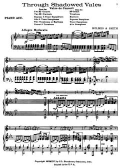 Through Shadowed Vales 