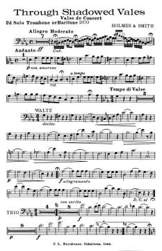 Through Shadowed Vales 