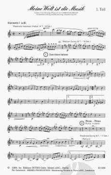 Meine Welt ist die Musik von Christian Bruhn 