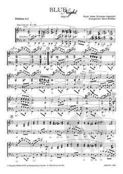 Blue Night (Walter Schneider) 