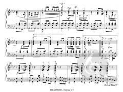 Polkafeuer von Rudolf Strubl 