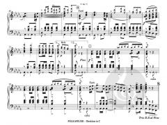 Polkafeuer von Rudolf Strubl 