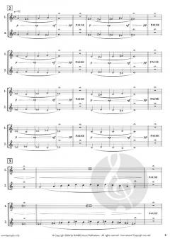 Basics Plus von Wolfgang Guggenberger 