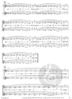 Basics Plus von Wolfgang Guggenberger 