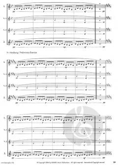 Basics Plus von Wolfgang Guggenberger 