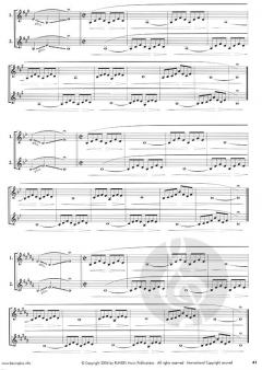 Basics Plus von Wolfgang Guggenberger 