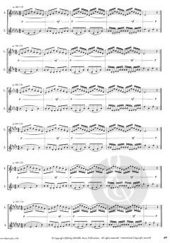 Basics Plus von Wolfgang Guggenberger 