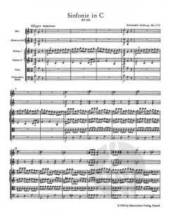 Sämtliche Sinfonien von Wolfgang Amadeus Mozart 