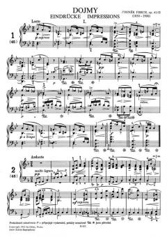 Nsslady, dojmy a upomínky von Zdenék Fibich 