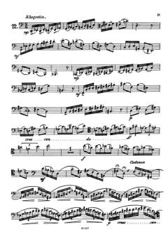 Virtuose Etüden (Karel Pivonka) 