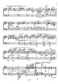 Largo aus der Sinfonie 9 e-moll von Antonín Dvorák 