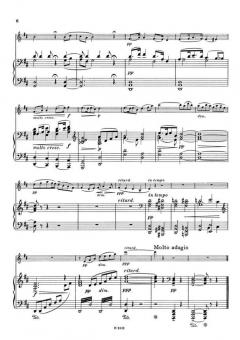 Largo aus der Sinfonie 9 e-moll von Antonín Dvorák 