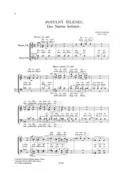 Des Narren Irrfahrt (Leo Eugen Janáček) 