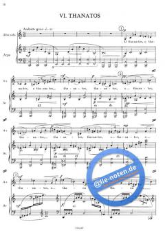 Dizionario Greco (Petr Eben) 