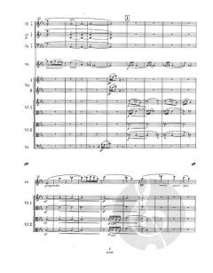 Des Spielmanns Kind von Leo Eugen Janáček 