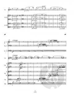 Des Spielmanns Kind von Leo Eugen Janáček 