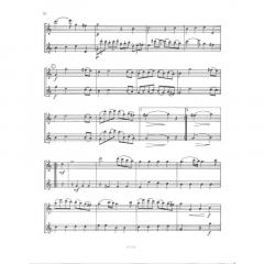 Flötenduette von Johann Baptist Vanhal im Alle Noten Shop kaufen