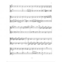 Flötenduette von Johann Baptist Vanhal im Alle Noten Shop kaufen