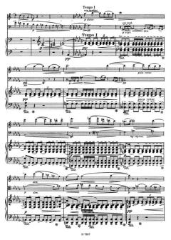 Elegie op. 23 von Josef Suk 