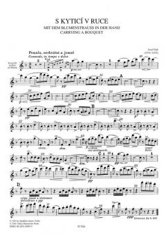 Bagatelle mit dem Blumenstrauss in der Hand (Josef Suk) 