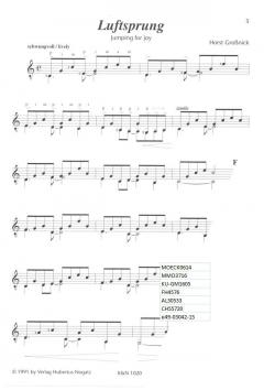 Luftsprünge von Horst Großnick 