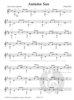 Folk-Jazz Ballad von Fabian Payr 