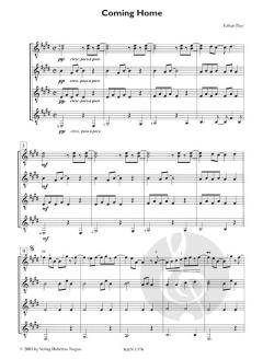 Coming Home von Fabian Payr 