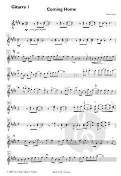 Coming Home von Fabian Payr 