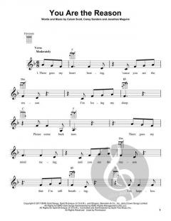 You Are The Reason von Calum Scott 