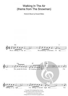 Walking In The Air von Howard Blake 