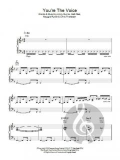 You're The Voice von John Farnham 