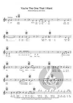 You're The One That I Want von John Farrar 