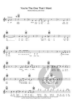 You're The One That I Want von John Farrar 