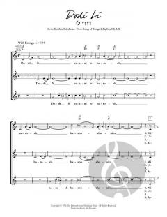 Dodi Li von Debbie Friedman 