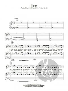 Tiger von Emeli Sandé 