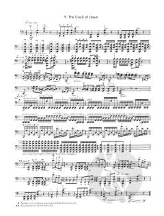 10 amerikanische Cello-Etüden von Larry Minsky im Alle Noten Shop kaufen