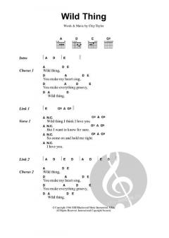 Wild Thing von The Troggs 