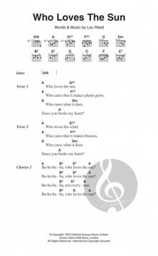 Who Loves The Sun von The Velvet Underground 