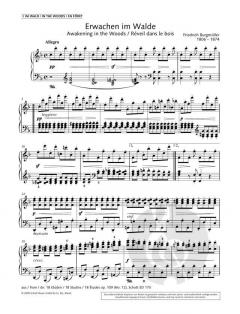 Awakening in the Woods von Friedrich Burgmüller 