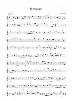 10 Melodic Studies von Ton Verhiel 