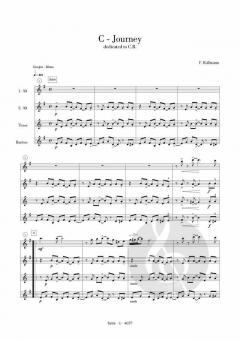 C-Journey von Friedrich Kullmann 